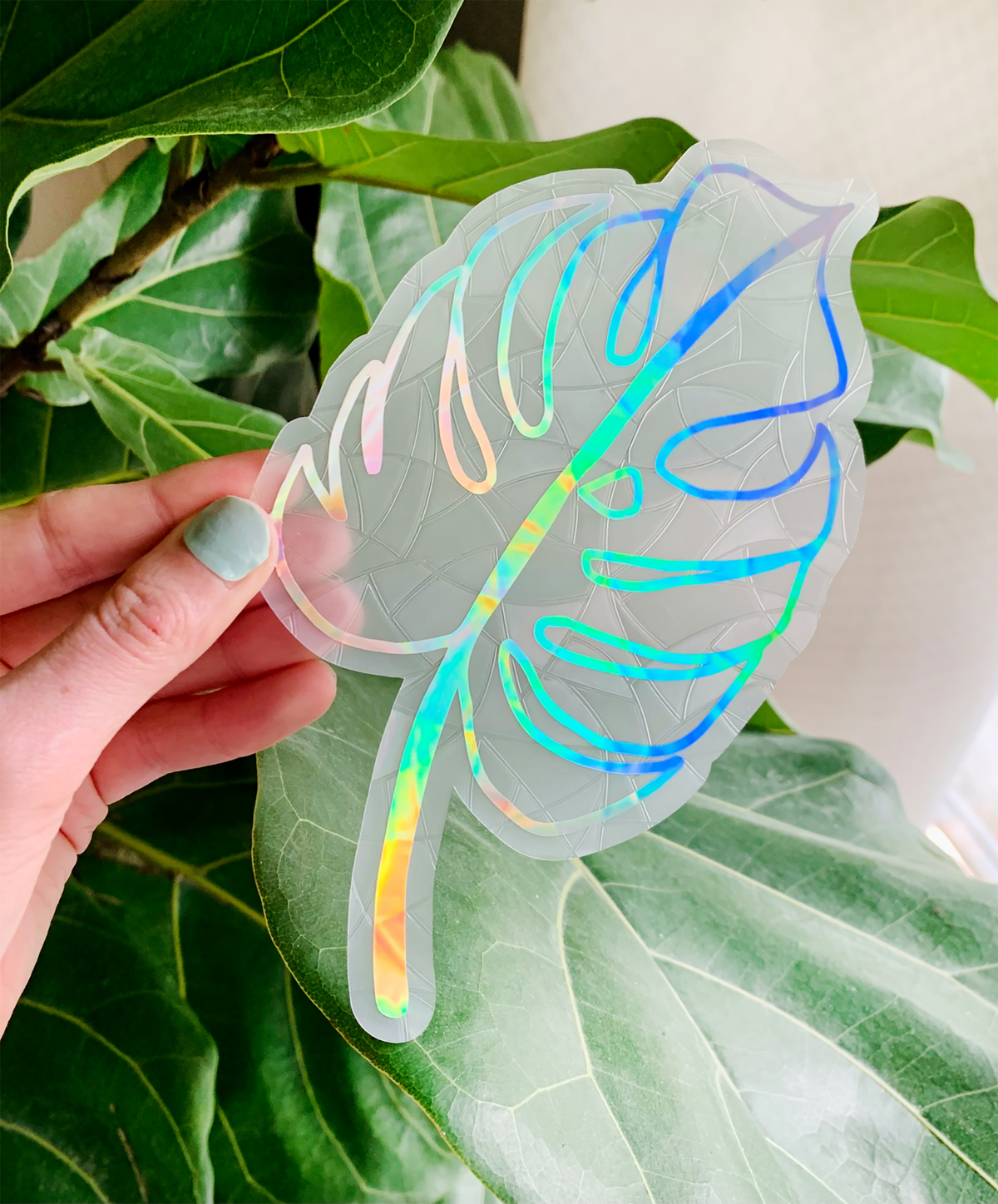 Monstera Leaf Suncatcher Window Cling