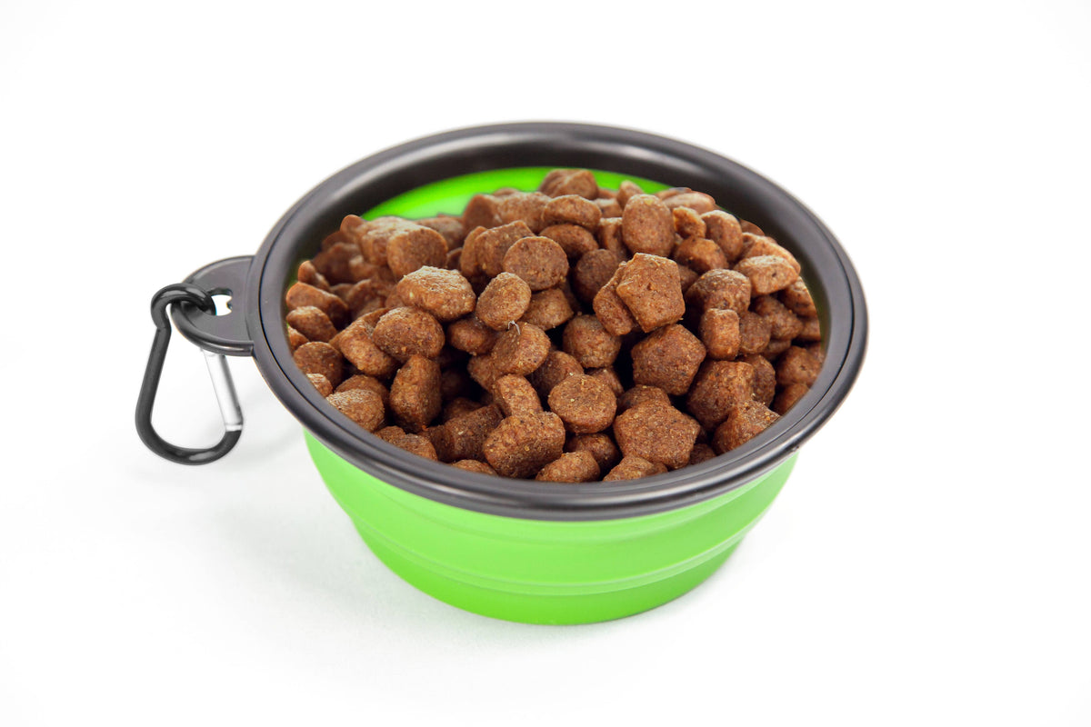 Pupware Collapsible Doggie Dish