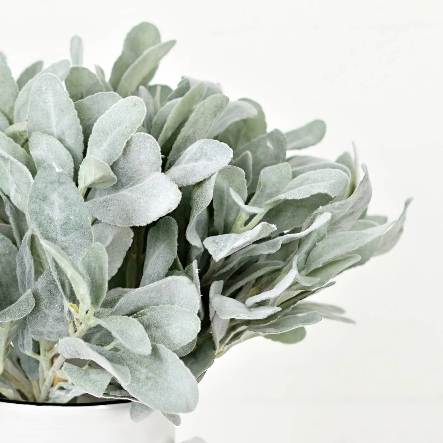 Flocked Lamb Ear Leaves