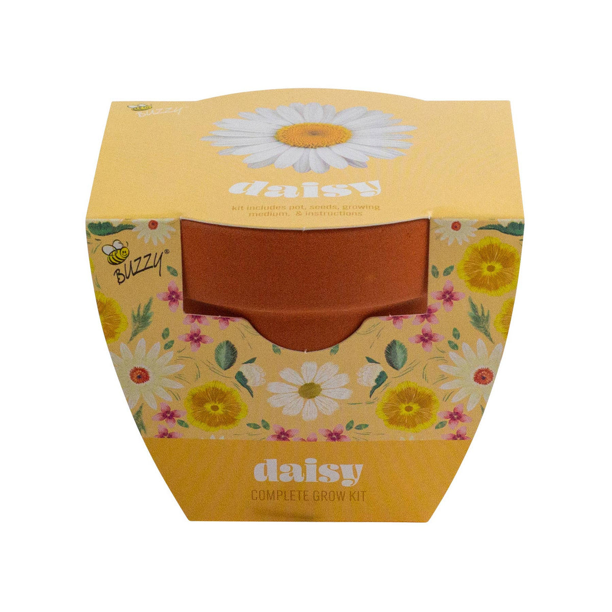 Classic 3.3 in. Terracotta Daisy Grow Kit| Indoor | Gift Pot