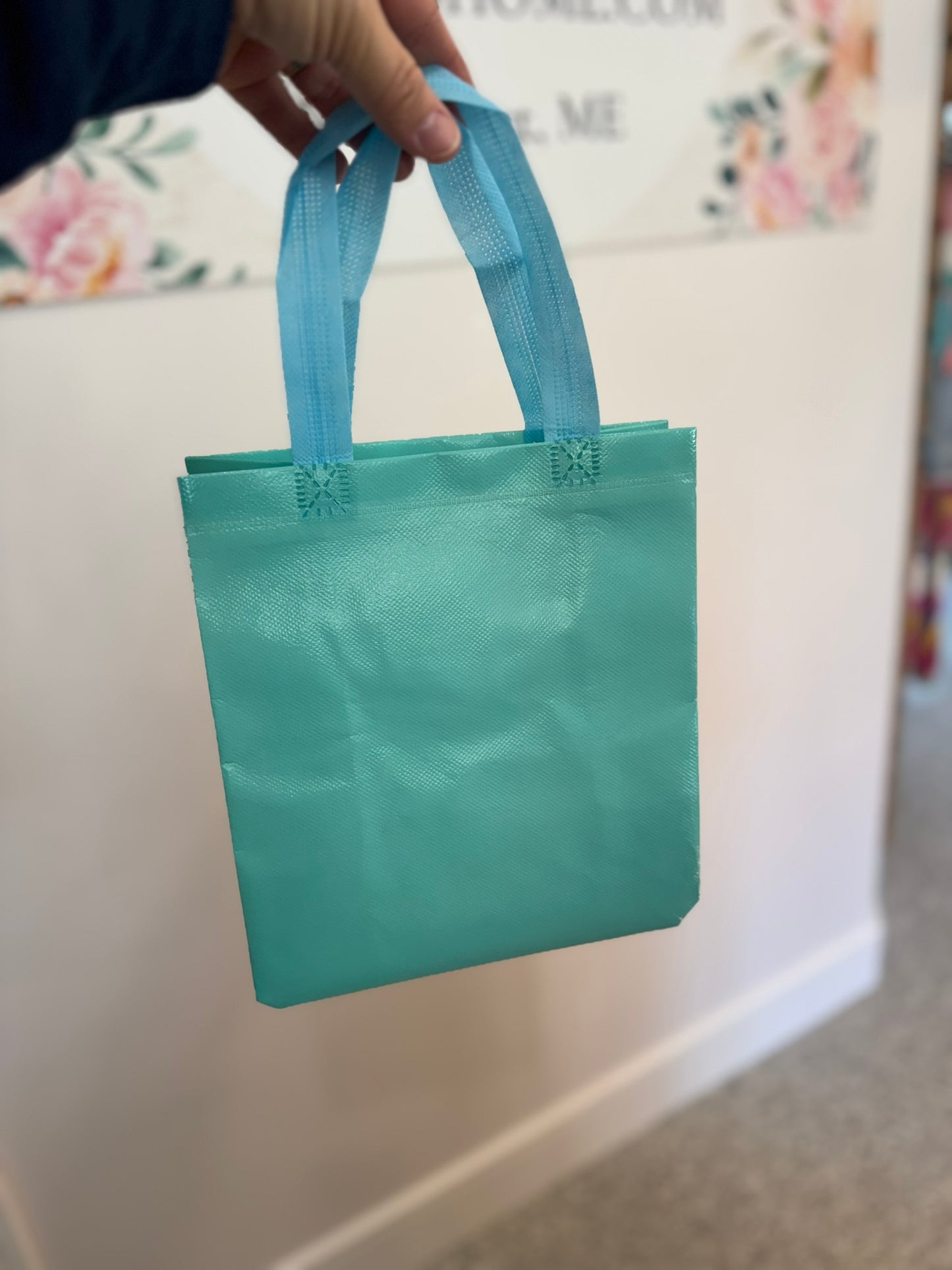 Reusable Shopping/Gift Bag
