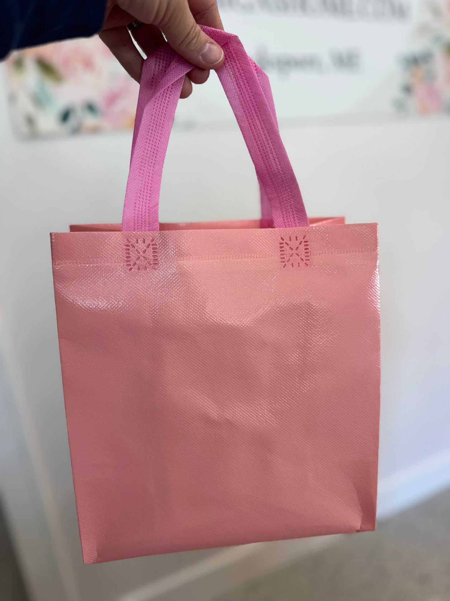 Reusable Shopping/Gift Bag