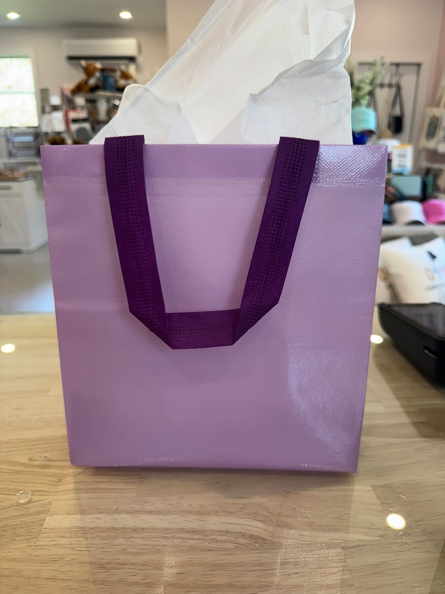 Reusable Shopping/Gift Bag