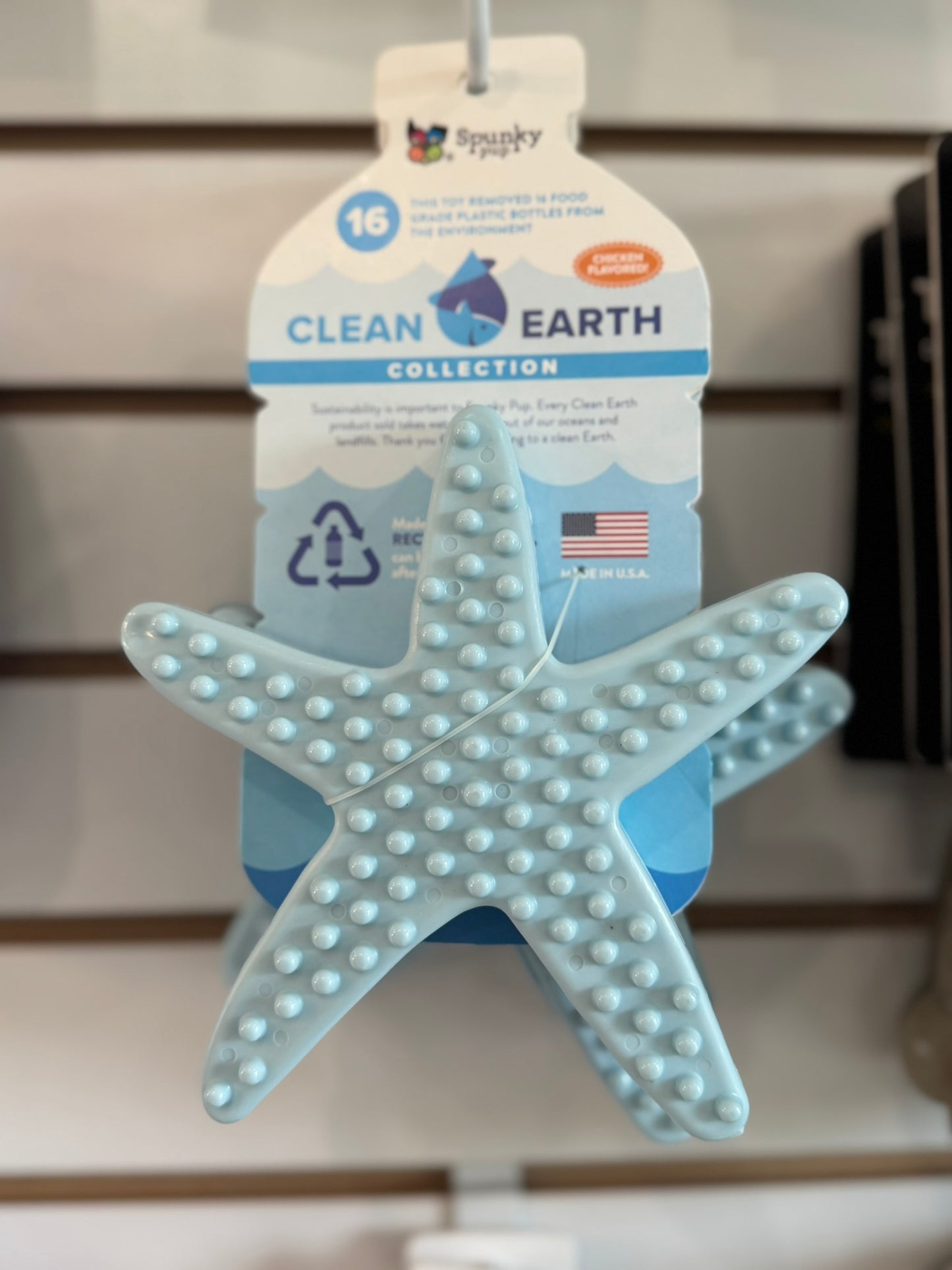 Clean Earth Recycled Hard Chews - Made in the USA