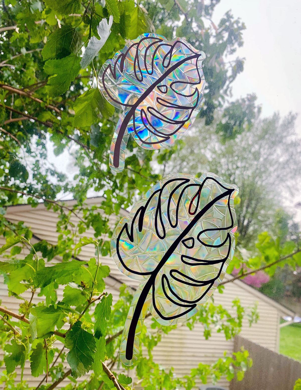 Monstera Leaf Suncatcher Window Cling
