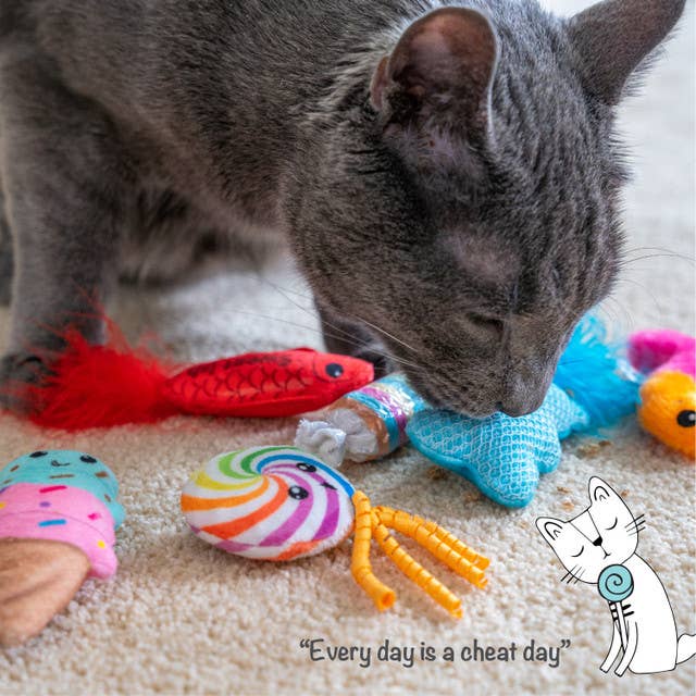 Kitty Sweet Treats 6 Pk
