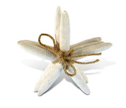 Nautical White Starfish