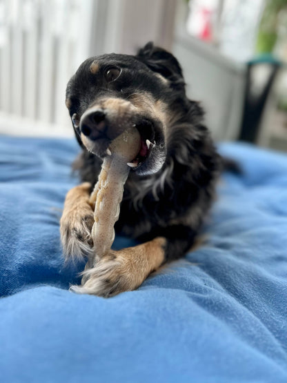 The Deer Antler