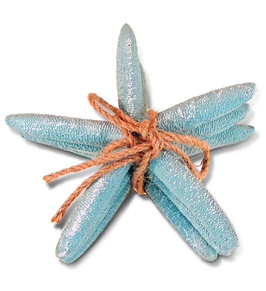 Nautical Turquoise Starfish