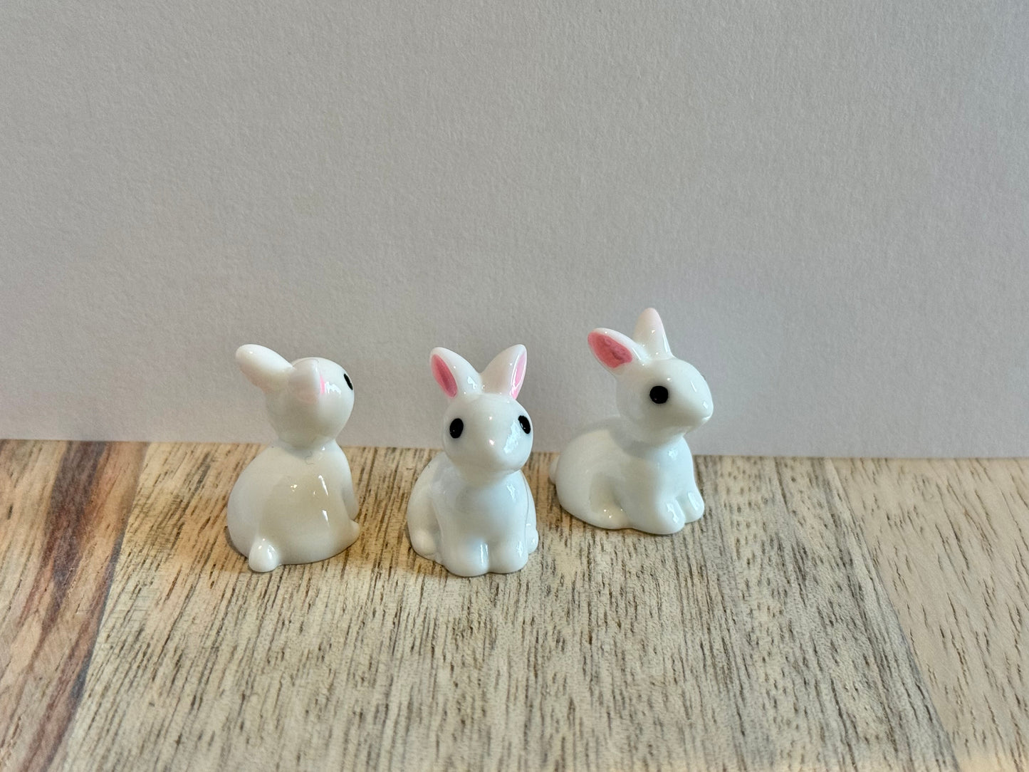 Tiny Bunnies