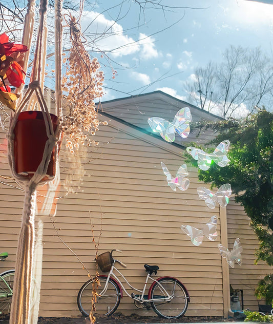 Flying Butterflies Suncatcher Set