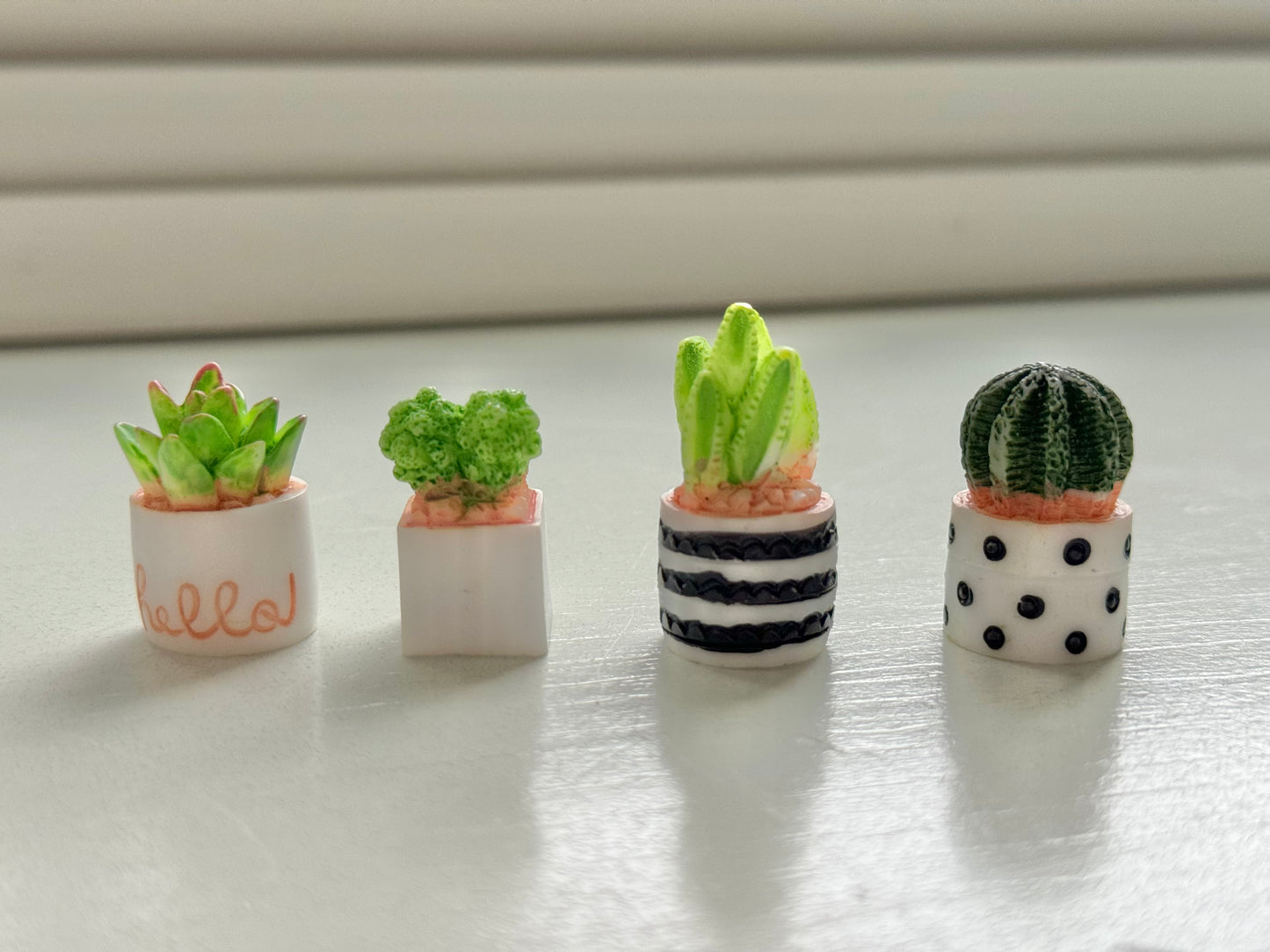 Mini Succulents