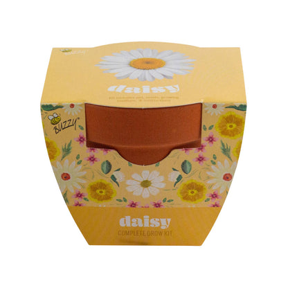 Classic 3.3 in. Terracotta Daisy Grow Kit| Indoor | Gift Pot