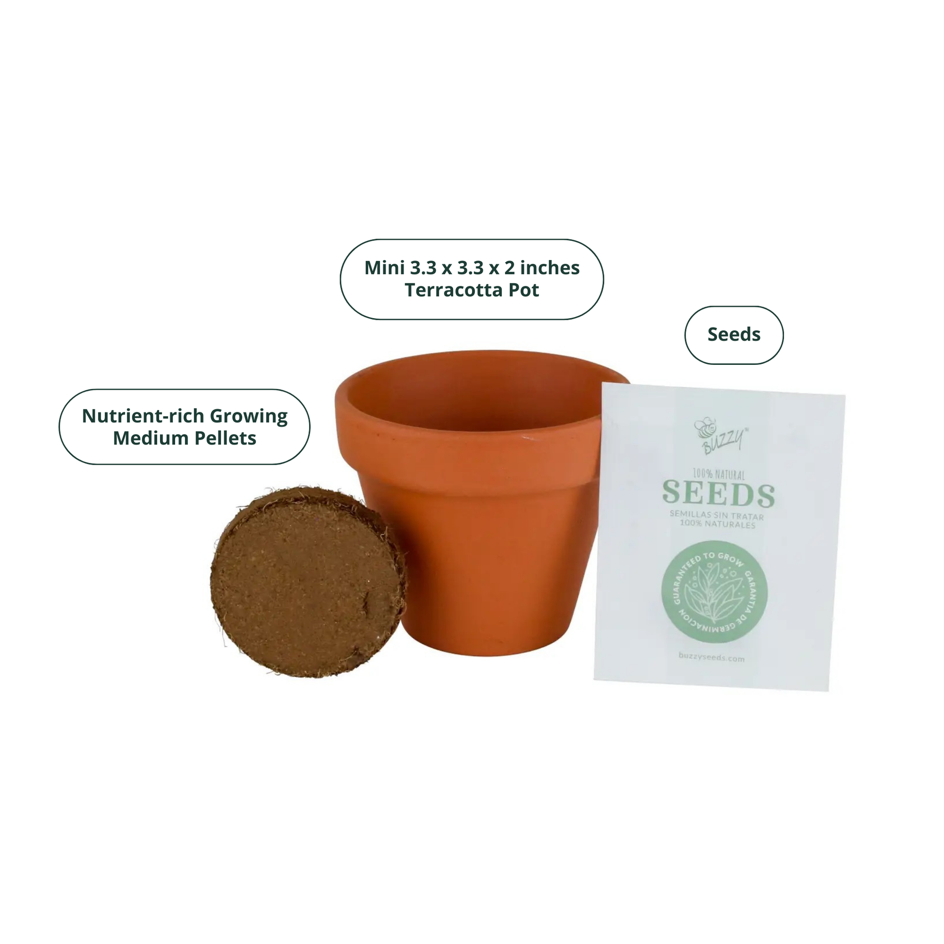 Terracotta pot, nutrient-rich growing medium pellet, and seed packet on a white background