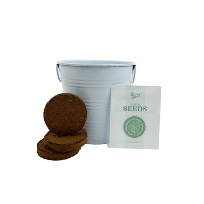 Metal bucket, coconut coir pots, and a packet of seeds on a white background