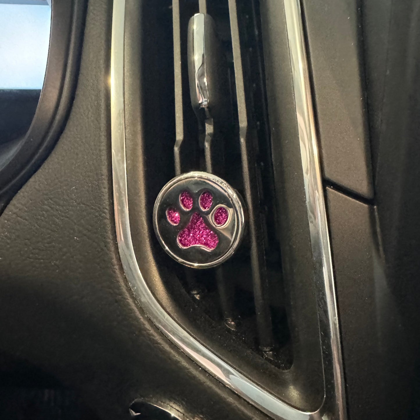 Car Charm Freshener OR Refills