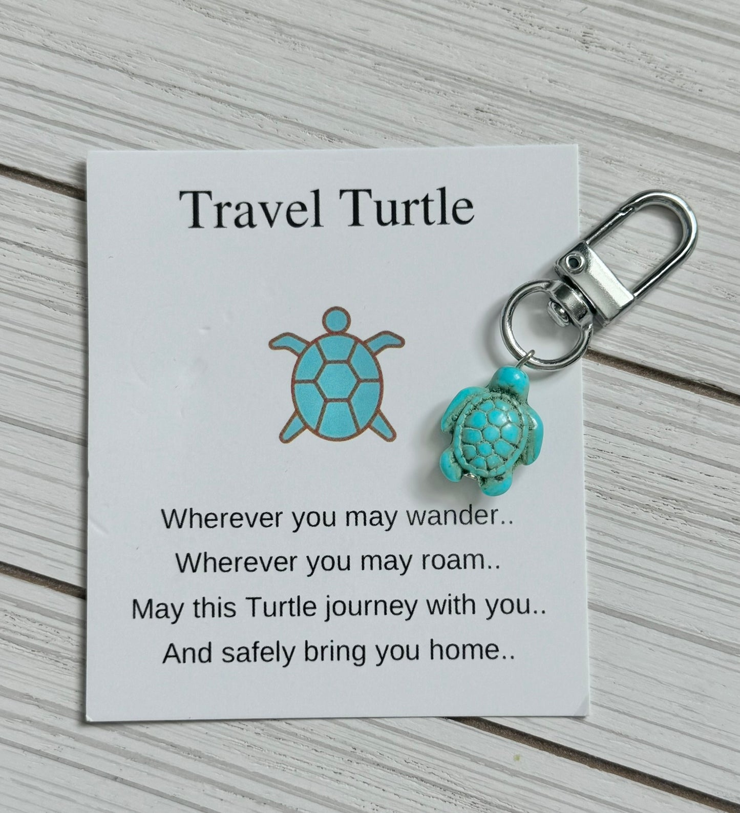 Travel Turtle