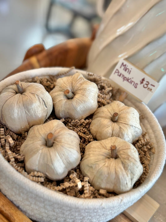 Mini Pumpkin