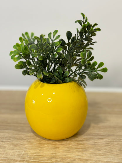 Yellow Ceramic Planters