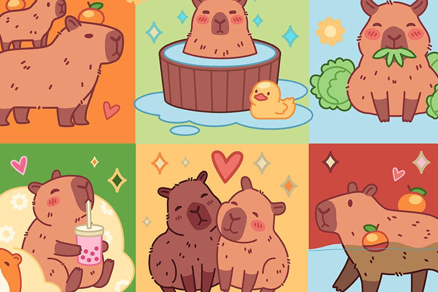 Puzzle Packs - Capybara Mini Puzzle