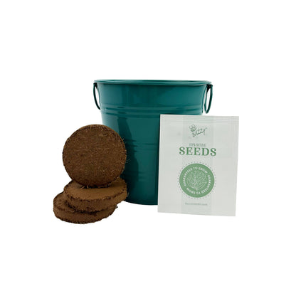 Teal bucket, brown peat pots, and a packet of seeds on a white background