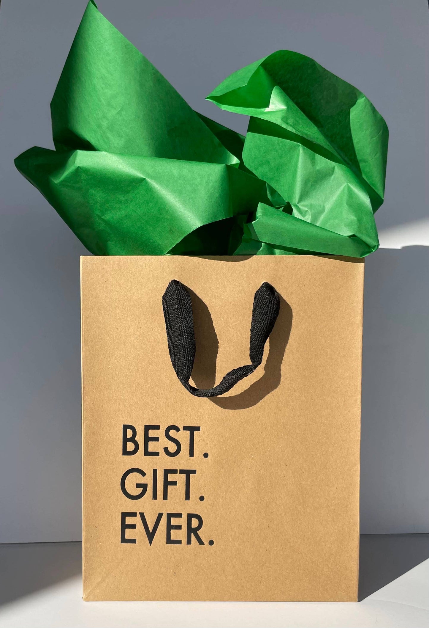 Best Gift Ever Gift Bag