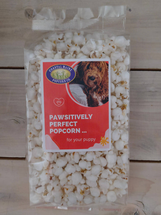 Pawsitively Perfect PUPPY Popcorn!