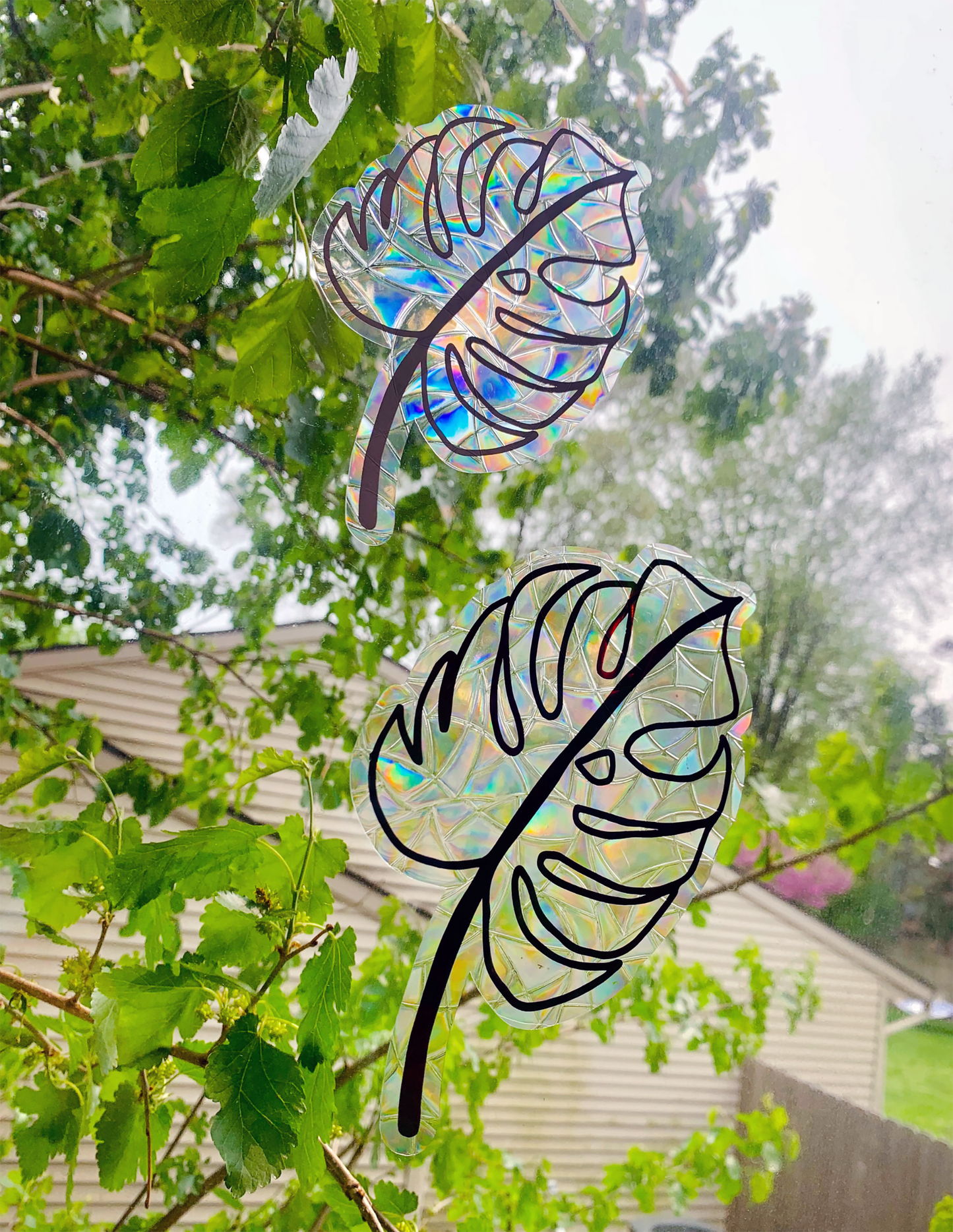 Monstera Leaf Suncatcher Window Cling
