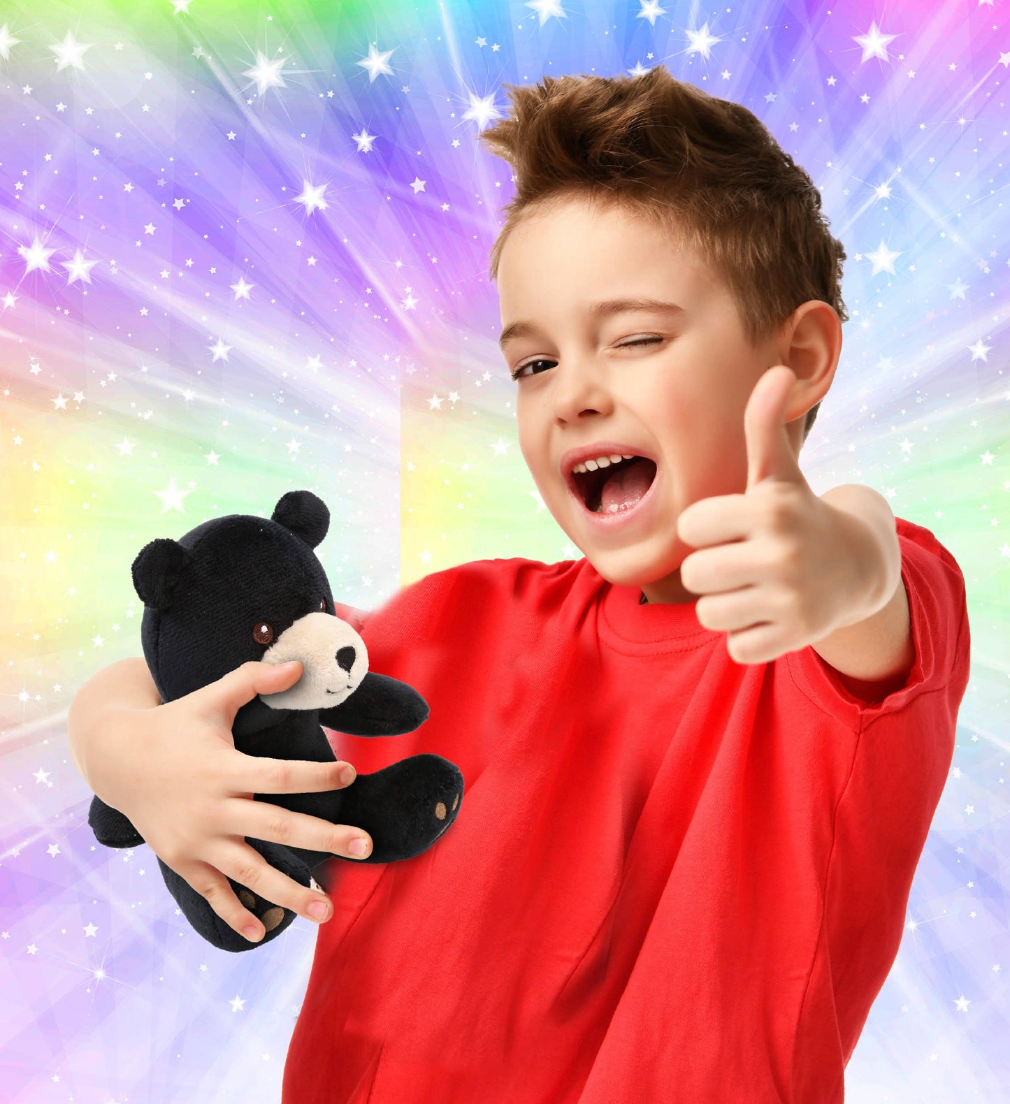 Black Bear Plush (6")