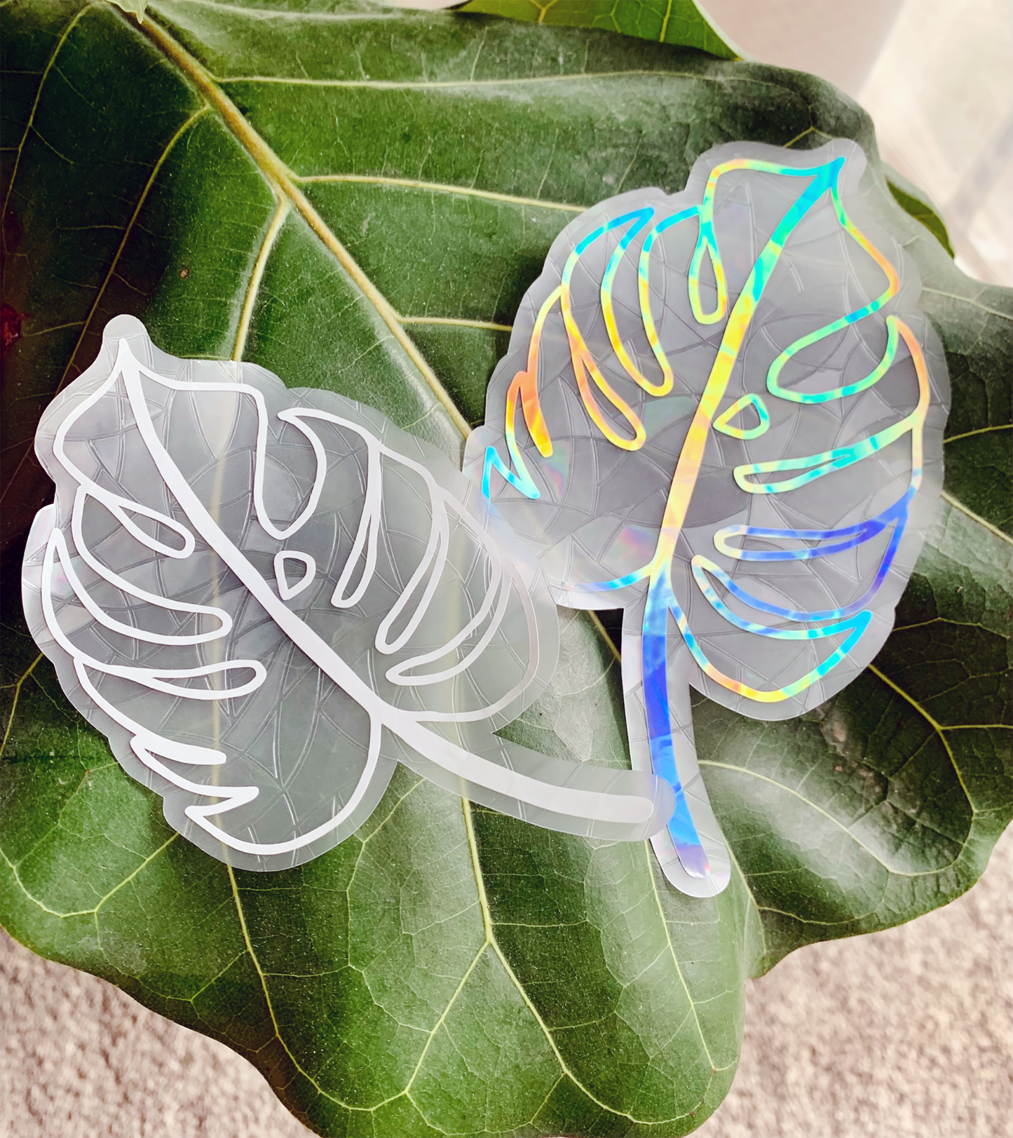 Monstera Leaf Suncatcher Window Cling