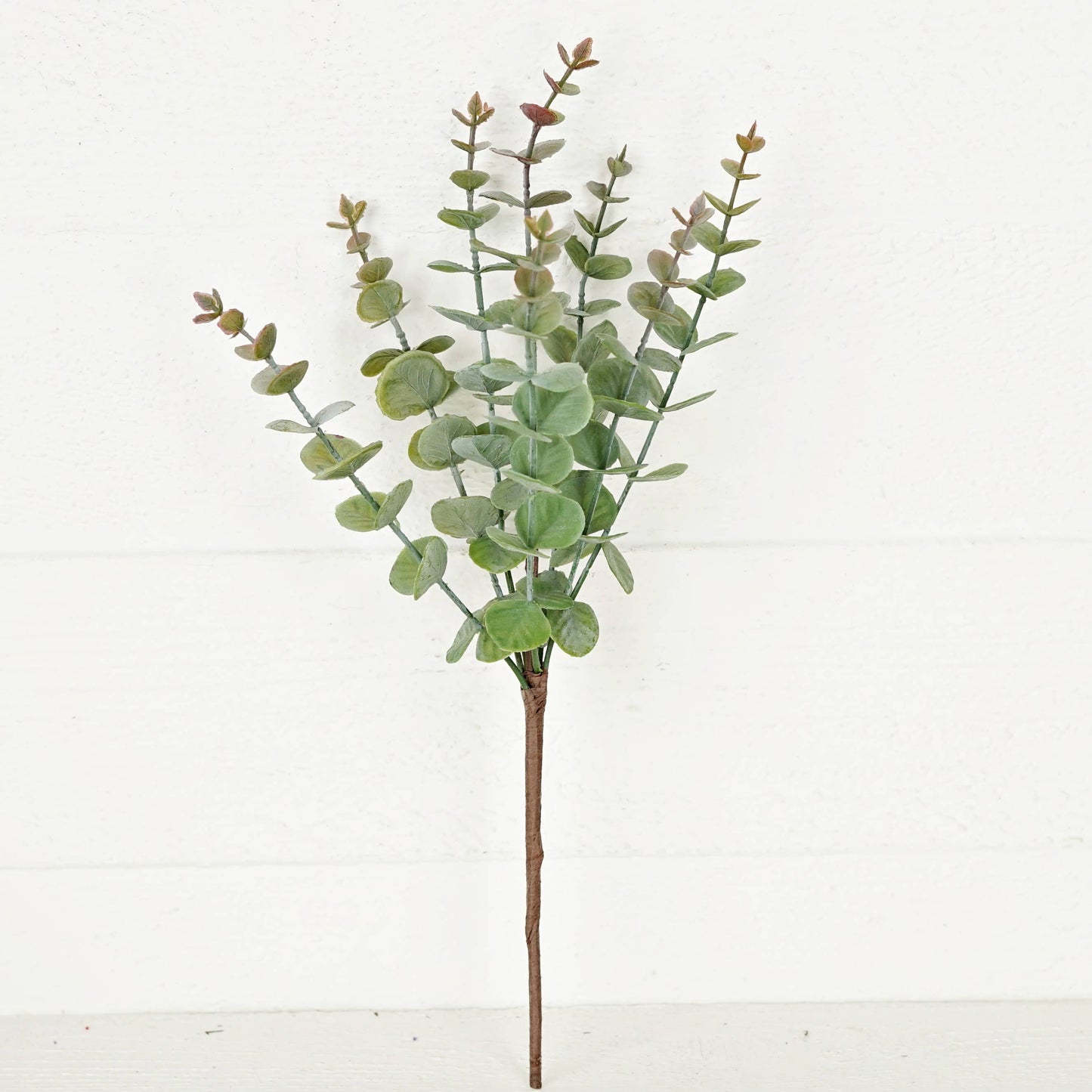 Flocked Green Eucalyptus Leaves