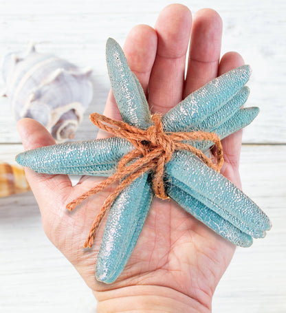 Nautical Turquoise Starfish