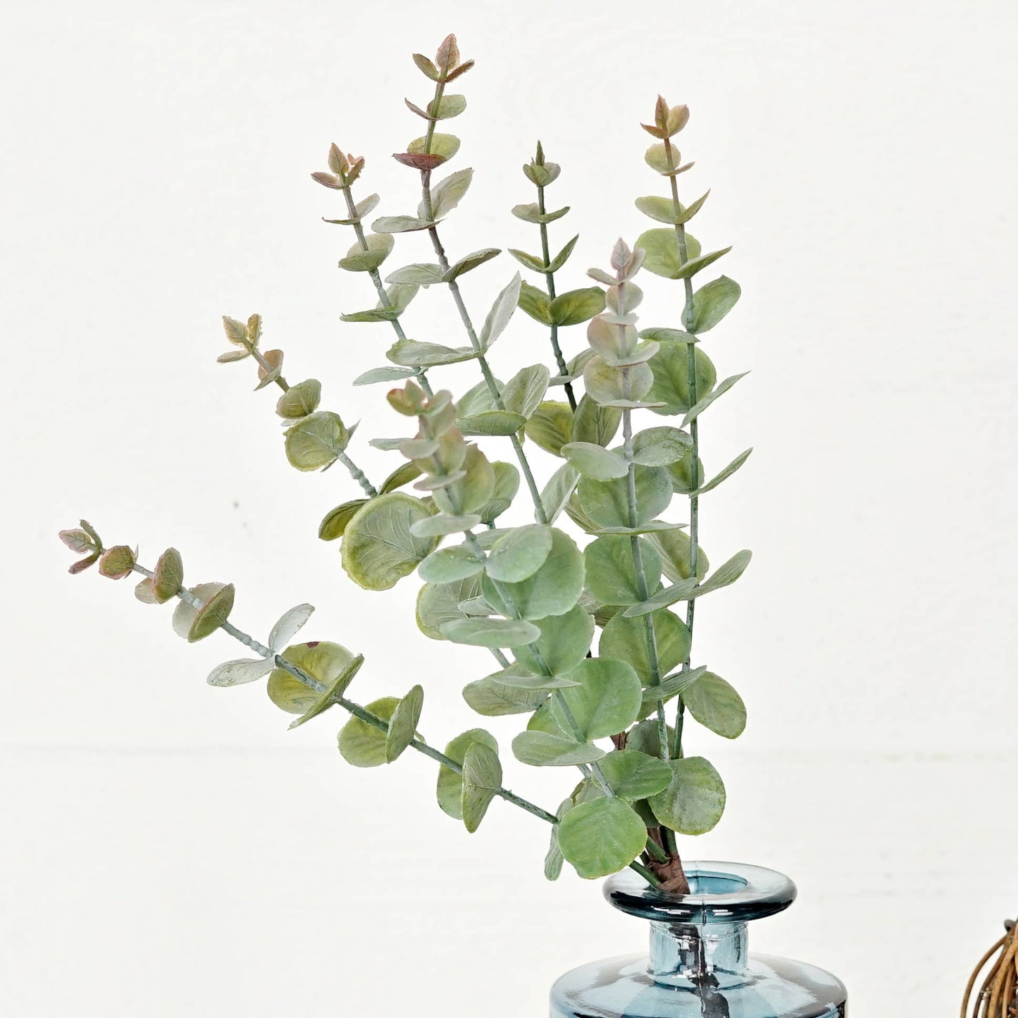 Flocked Green Eucalyptus Leaves